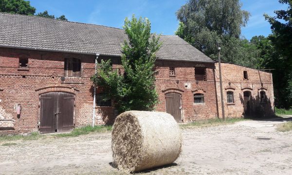 Hallen und Flächen zu vermieten