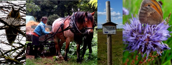 Naturschutz im Sande e.V.